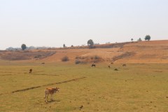 IMG_8582