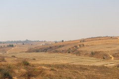 IMG_8589