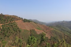 IMG_8791