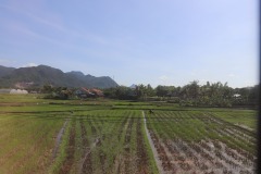 IMG_0177