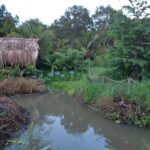 20190524_181410-150x150