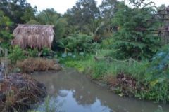 20190524_181410-300x225