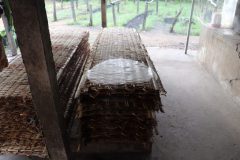 IMG_0614-1024x683