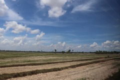 IMG_1500