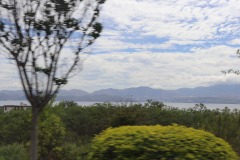 IMG_4377