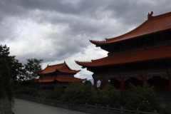 IMG_4464