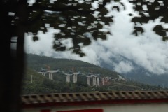 IMG_4555