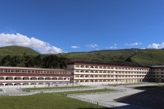 IMG_5469