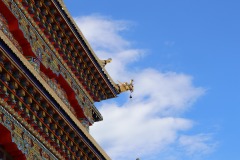 IMG_5485