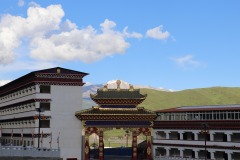 IMG_5489