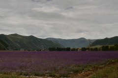 20190724_111656