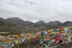IMG_5763