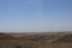 IMG_6503