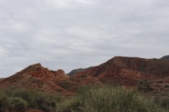 IMG_7196