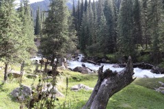 IMG_7304