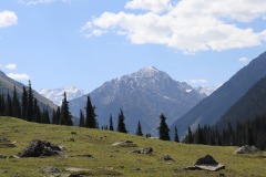 IMG_7351