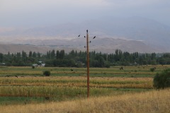 IMG_7524