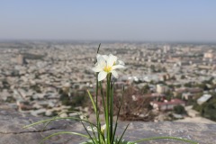 IMG_7676