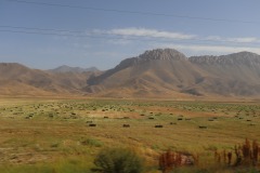 IMG_7789