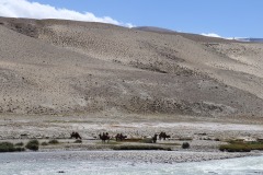 IMG_8100