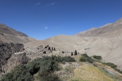 IMG_8195